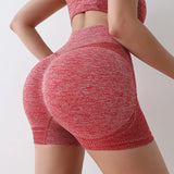 https://athlora.ca › products › gym-shorts-women-seamless