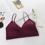 https://athlora.ca › products › gym-bra-elastic