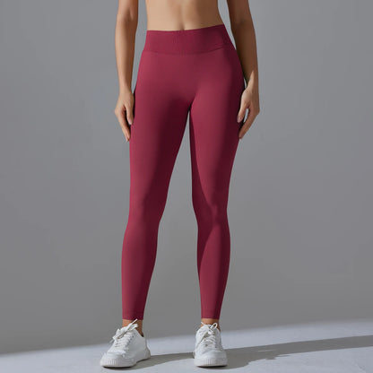 Gym Leggings Seamless
